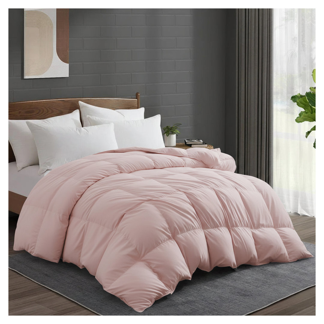 600 Fill Power Goose Down and Feather All Season Comforter Duvet Insert